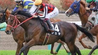 【関屋記念】セレクト3.2億円のジュタ 史上最高額のJRA重賞勝ち馬になるか