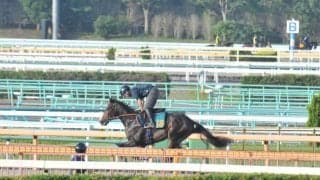 リバティアイランドの半弟ダノンダックス 田中博師「ポテンシャルの高さは感じる」/関東馬メイクデビュー情報