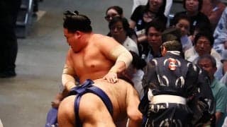 ２人でゴロン！土俵から転落→軍配差し違え「単純な見間違い」困惑の声も…当事者高安の反応は？