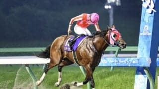 【マーキュリーカップ】サンデーファンデー鮮やか逃げ切りV…1番人気ムルソーは2着
