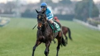 【関屋記念展望】データが後押しする牝馬ドロップオブライトが重賞3勝目を狙う