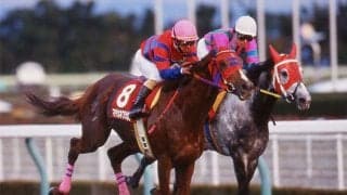 「フクキタル」の翌年は「ワラウカド」 珍名馬が沸かせた98年ウインターSを回想