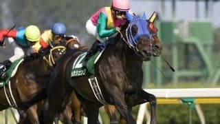 河内洋調教師がSS産駒で重賞初制覇 08年関屋記念をプレイバック