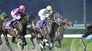 【盛岡・マーキュリーカップ】武豊「オープンでもやれる」重賞初挑戦ギュルヴィは3着