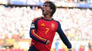 W杯決勝ゴールのスペインFWトーレスは数日前に彼女と別れていた　英紙報じる
