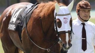 【東海S】福永祐一調教師が史上初の騎手＆調教師ダブル制覇へ 上がり馬のメイショウハチローで参戦だ