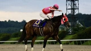 【盛岡・マーキュリーカップ】角田大和「ムルソーより前にという意識で」サンデーファンデー鮮やか逃げ切りV