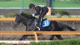 ショウヘイなど、先週の入厩情報/栗東トレセンニュース