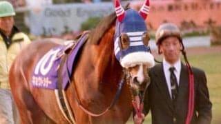 ヴェルテンベルクを管理する宮本師ゆかりの名馬 キョウトシチーの復活劇を振り返る