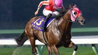 【盛岡・マーキュリーC結果】サンデーファンデーが逃げ切って重賞3勝目を挙げる