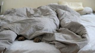 眠れないとき、ついついしてしまう「寝酒」　健康に問題ない？