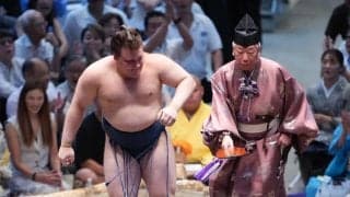 安青錦が大関復帰王手９勝目「体が勝手に動いた」横綱豊昇龍を撃破　左足を引きずる様子も