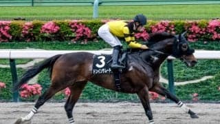 【東海S予想オッズ】ドンインザムードが予想1番人気