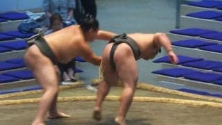 「相撲でローキック」「めっちゃ痛そう」強烈な“一撃”に小兵力士が「うっ！」と声を上げて前のめりの劇的決着