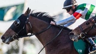 【関屋記念】30年ぶりに3歳牡馬の戴冠なるか シンザン記念覇者のサンダーストラックが参戦だ