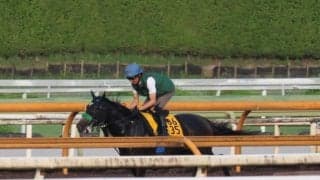 エリカエクスプレス、クイーンS1週前追い切り速報/栗東トレセンニュース