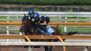 ディアナザール、CBC賞2週前追い切り速報/栗東トレセンニュース
