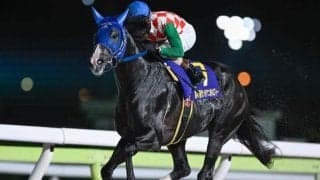 【大井・サンタアニタT結果】リコースパローが逃げ切って重賞3勝目を挙げる