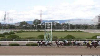 園田競馬で3連単1239万4160円 当地の最高配当記録を更新