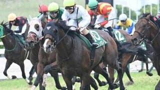 【関屋記念出走馬・騎手確定】エルトンバローズ＆J.コレット騎手、ダノンセンチュリー＆戸崎圭太騎手など14頭