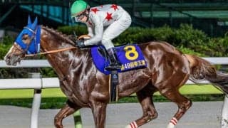 田中博康厩舎ゆかりの良血 ホウオウシュウがデビュー勝ち狙う