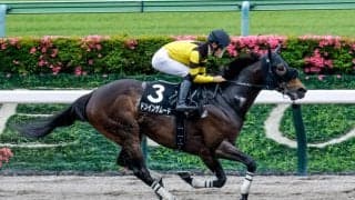 【東海S枠順確定】ドンインザムードは4枠5番、ベルジュロネットは5枠8番