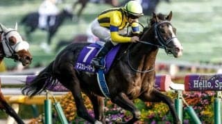 【英・キングジョージ枠順確定】マスカレードボールは4番ゲート、ヴェルテンベルクは3番ゲート