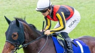 リバティアイランドの半弟 ダノンダックスが必勝期す初陣だ