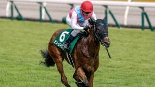 【アイビスSD想定馬・騎手】ピューロマジック、エコロレジーナなど16頭