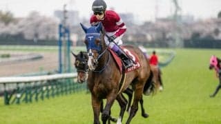 【クイーンS想定馬・騎手】ボンドガール、ヴーレヴーなど17頭