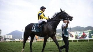 【キングジョージ枠順】日本馬マスカレードボール＆ヴェルテンベルクのゲート番決定