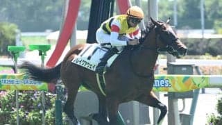 【中京2R新馬戦結果】キズナ産駒ブレイクアウェイが人気に応えて快勝