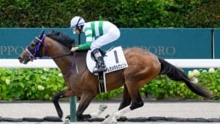 【札幌5R新馬戦結果】ルヴァンスレーヴ産駒レガメデルヴェントが大差勝ち