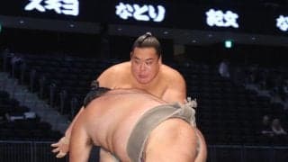 大の虎党・朝阪神が勝ち越し　首位攻防戦う猛虎の勝ち越しも期待「あと２つ勝ってほしい」