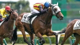 【新潟3R新馬戦結果】ミスターメロディ産駒セプタードアイルが追い比べを制してV