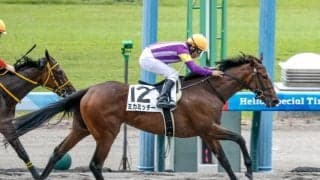 【新潟2R新馬戦結果】ドレフォン産駒の9番人気ミカミッチーがV