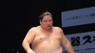 錦木が千秋楽に勝ち越し望みつなぐ「本当にけつがないので」