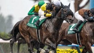 【東海S予想】芝向きの要素を備えた馬にチャンスあり!? 上位人気が有力も血統面から割り引いて考えたい一頭とは