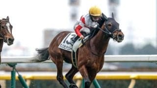 【関屋記念前日オッズ】ダノンセンチュリーが4.1倍で1番人気