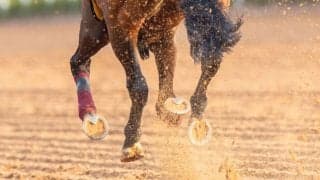 【札幌1R】小林美駒が騎乗停止明け初勝利…カレンココナで逃げ切る