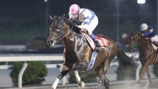 【高知・五台山特別】止まらないコパノハンプトン！高知移籍後4連勝で準重賞を圧勝