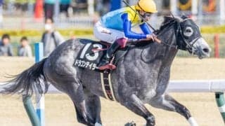 【東海S】藤原英昭調教師が12年ぶりのJRAダート重賞制覇なるか ドラゴンテイラーが5連勝に挑戦