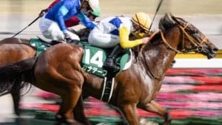 関屋記念は難解なハンデ戦 逃げ馬が好成績