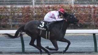 【東海S予想】逃げ先行有利な中京ダ1400m 瞬発力も問われる舞台