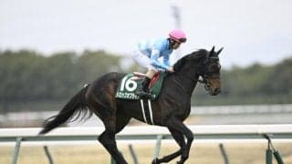 【関屋記念予想】サマーマイル第2戦 約800mの長い直線でスピード競うハンデ重賞