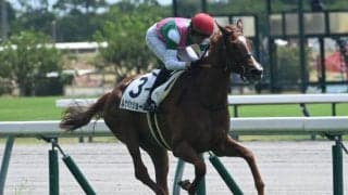 【中京2R新馬戦結果】サートゥルナーリア産駒ルナパッショーネが7馬身差で圧勝