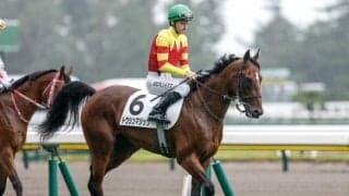 【新潟2R新馬戦結果】モズアスコット産駒トウシンマジックが接戦を制す