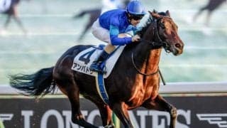 【関屋記念・馬体重】アンパドゥは498kg(+2)、ダノンセンチュリーは462kg(+2)