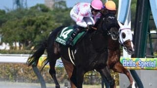 【JRA・WIN5】本日のWIN5は的中3875票、配当13万1130円