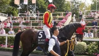 【キングジョージ】宮本博師「甘くなかったですね」ヴェルテンベルク9着、日本勢は世界の壁に屈す